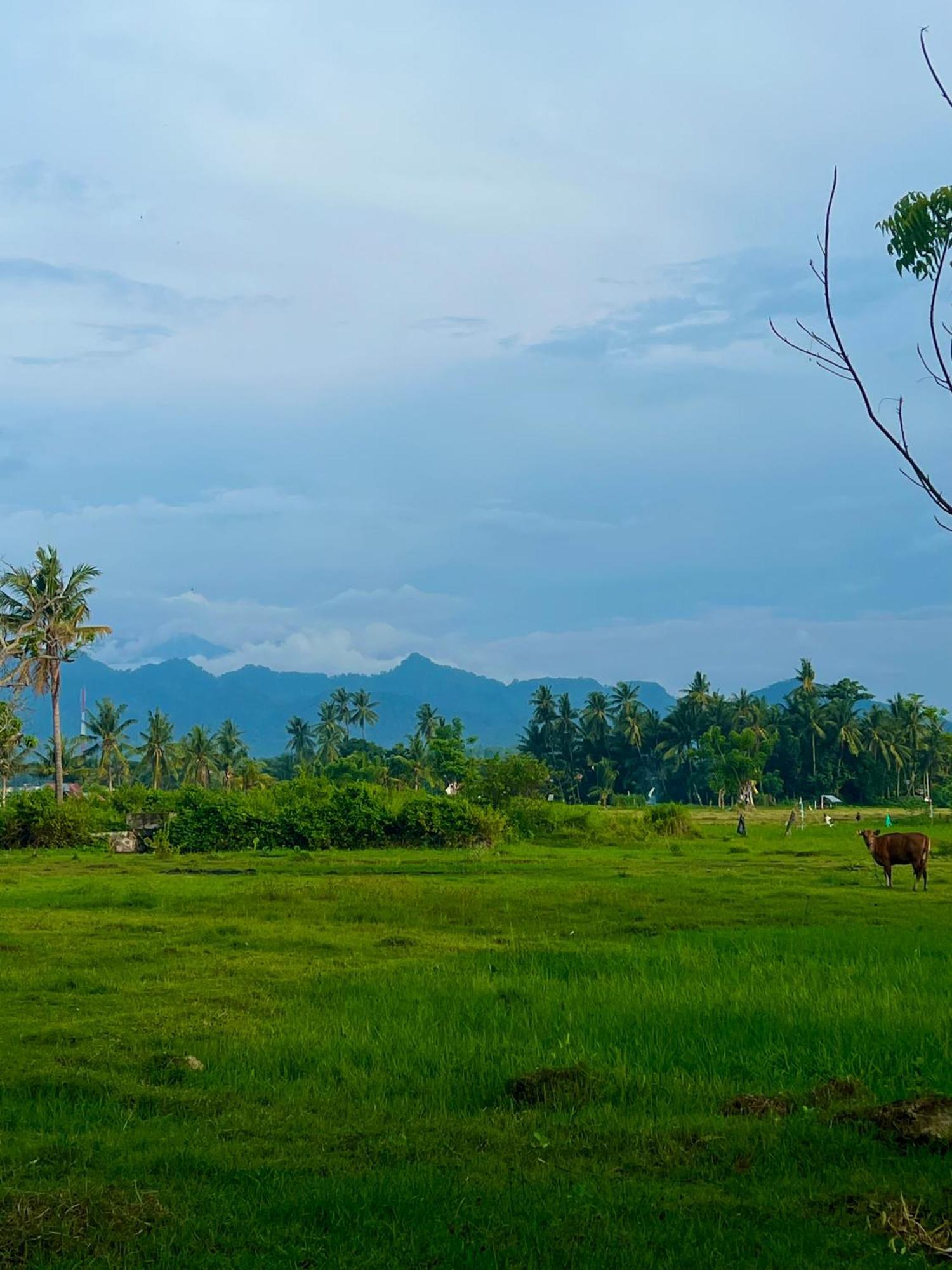 Rinjani Beach Eco Resort Tanjung (Lombok) Exterior foto